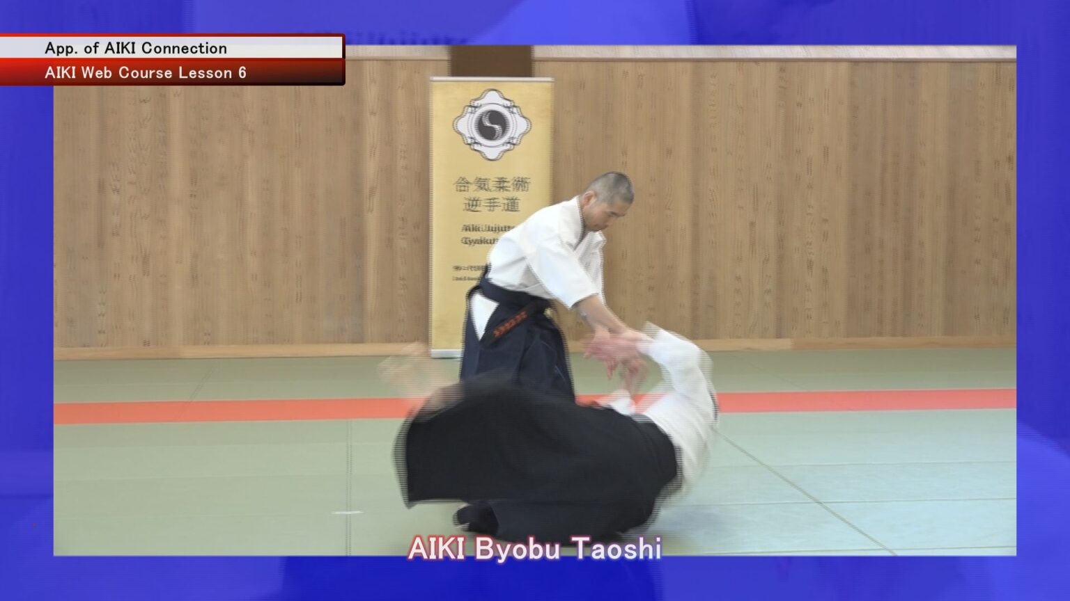 Aiki Techniques In Aikido And Aikijujutsu (English Edition