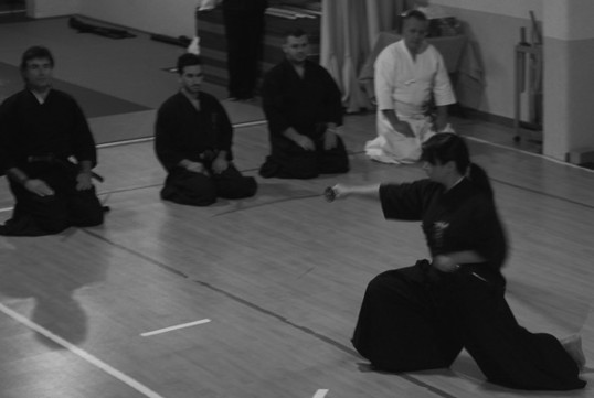 iaido sword style