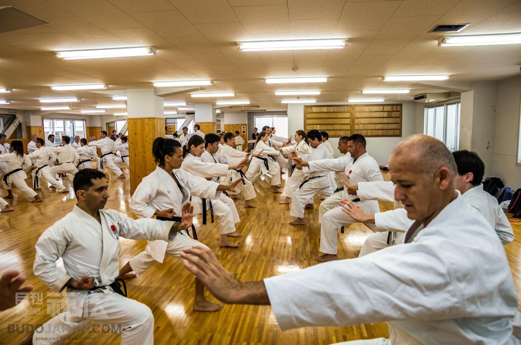 Shotokan Karate: It was 30 years ago today