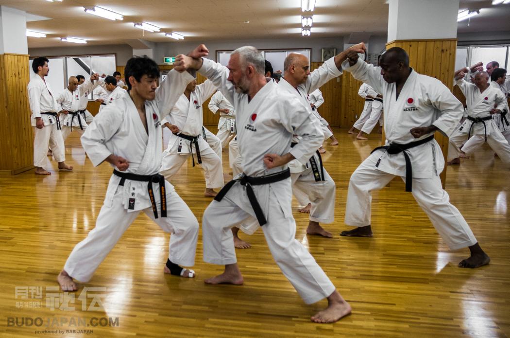Japanese Shotokan Karate Kata Karate Styles Shotokan Arts Isshinryu Ryu Martial Style Belt Kenpo