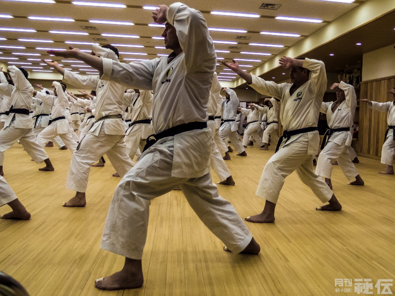 An Afternoon Of Shotokan: Japan Karate Shoto Federation’s International ...