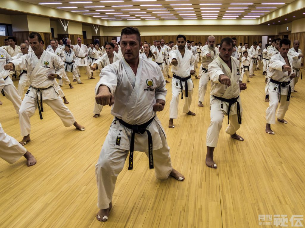 An afternoon of Shotokan: Japan Karate Shoto Federation’s International