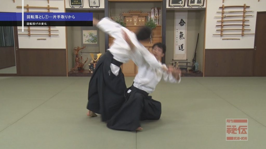 Beautiful Amazing Aikido By Ryuji Shirakawa 2 Budo Japan