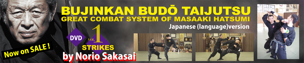 Bujinkan DVD Series 1: Naginata, Nagamaki & Bisento with Masaaki Hatsu –  Budovideos Inc