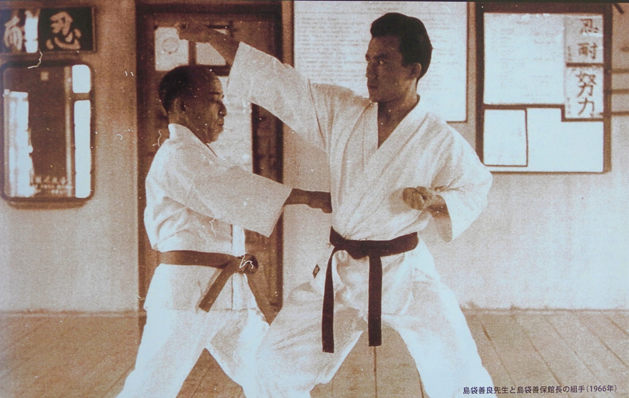 【Exploring the spirit of the Ryukyu】Series 7 (HIDEN 11/2023