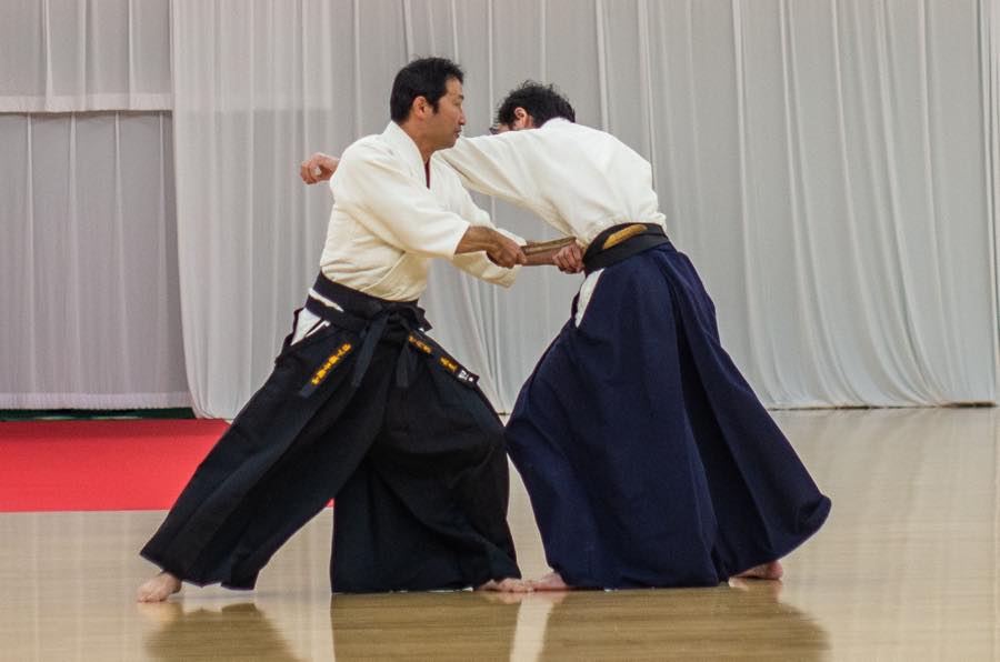 46th Nihon Kobudo Taikai Here we go again: what a difference several ...